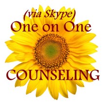 one on one skype counseling