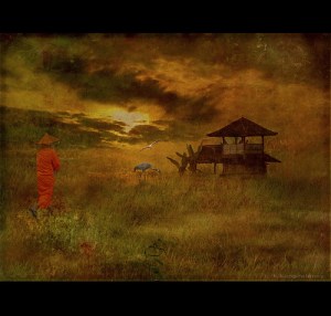 Our Life's Shelter