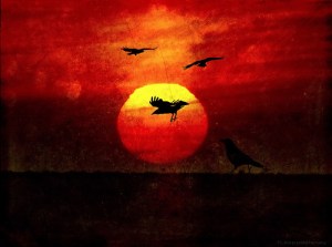 Possibilities Possibilities