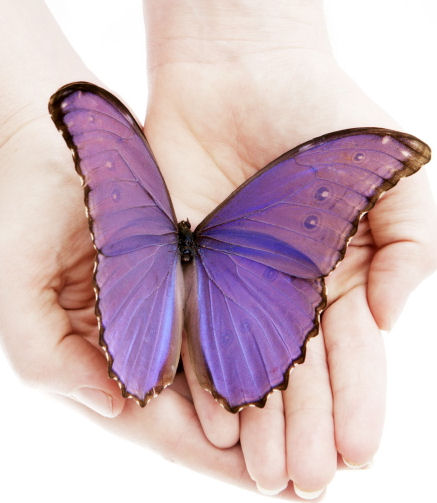 5 simple steps to positively becoming a whiz at prioritization