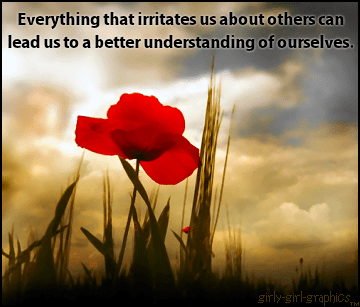 Everything-that-irritates-us-about-others-can-lead-us-to-a-better-understanding-of-ourselves