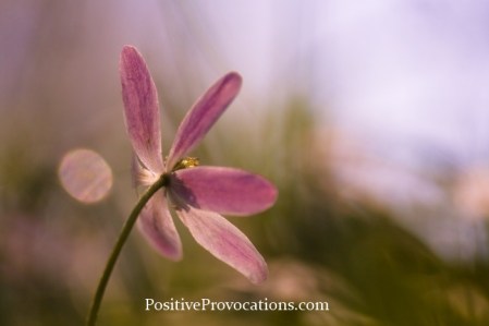 Really Know Yourself By Making a Date with Yourself