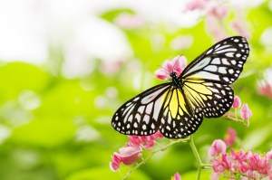 Are You Sacrificing Self Care for Your New Year’s Resolution?