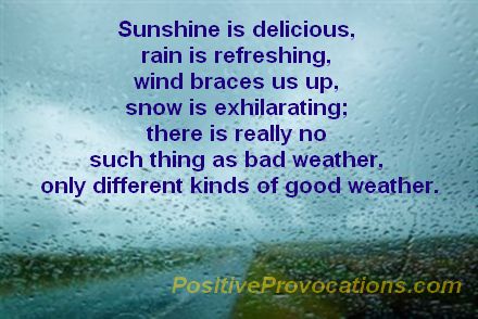 Sunshine is delicious