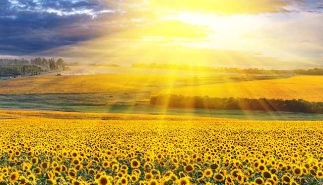 10 Positive ways to Shine Brilliantly and Really LIVE