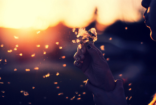 Let go of Expectations for True Inner Contentment and Happiness