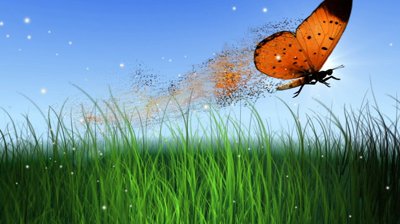 stock-footage-flying-butterfly-with-grass-and-sun