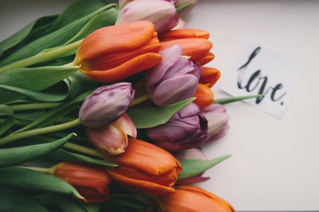 53 Love Quotes to Heal & Inspire You on Valentine’s
